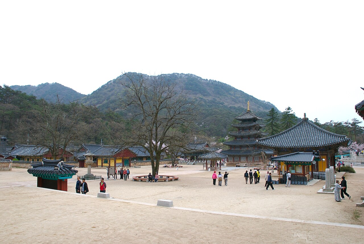 다비식이 봉행된 충북 보은 속리산 법주사. 명진스님의 소속 교구본사입니다